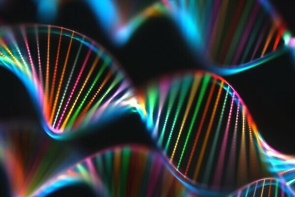 Геном человека расшифровали полностью